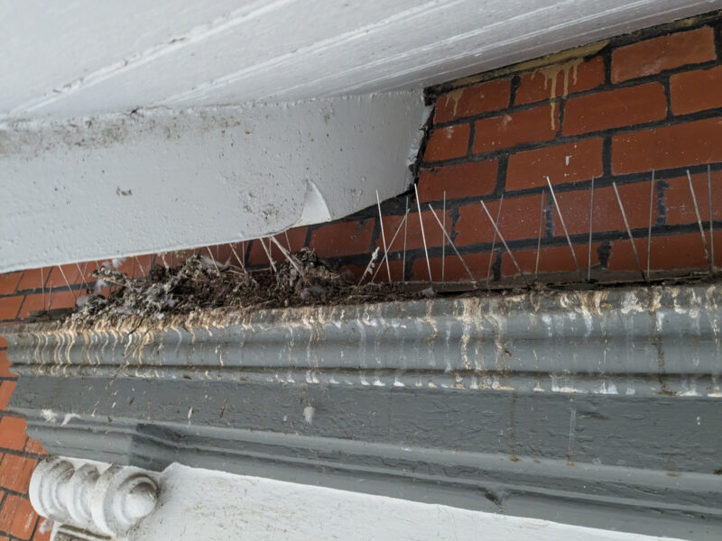 Clean-Protect vorher